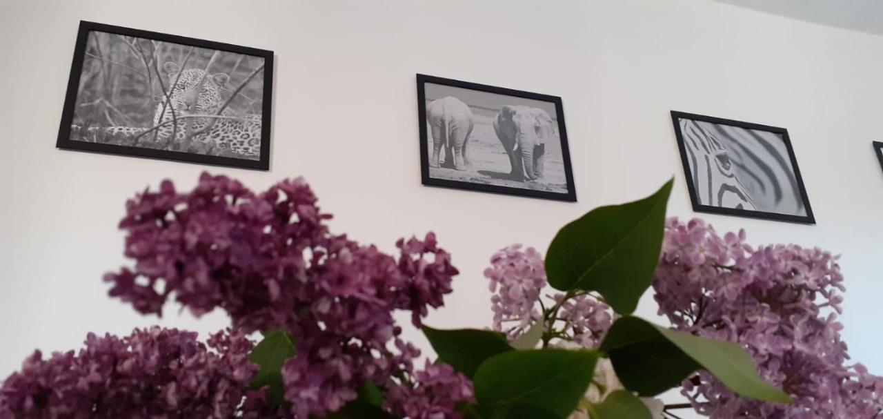 Ferienwohnung Wittenberge Esterno foto